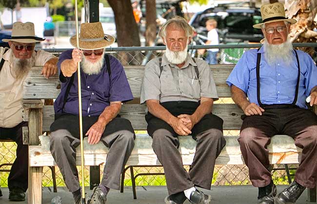 Pinecraft – Florida